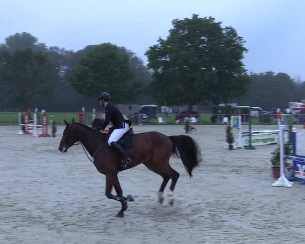 Reitturnier Nienberge-Schonebeck 2021