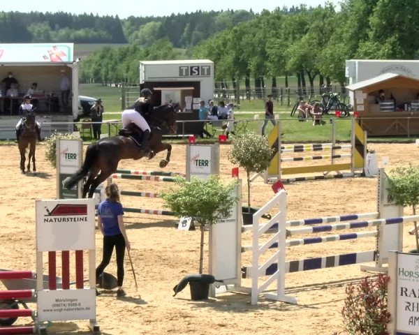 Reitturnier Zoltingen/Schw. 2021