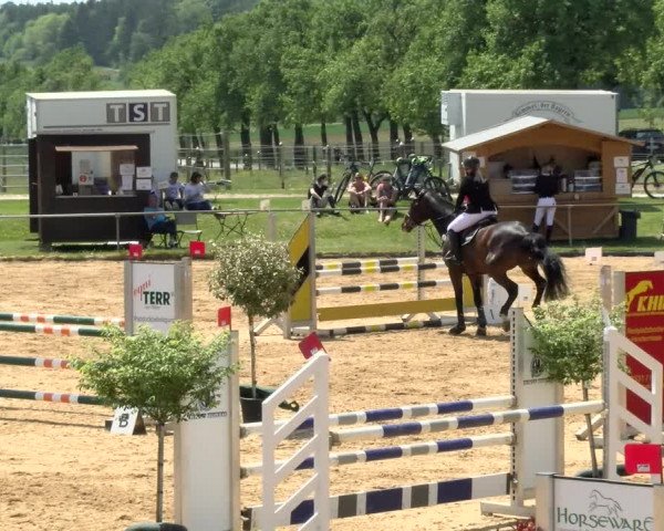 Reitturnier Zoltingen/Schw. 2021
