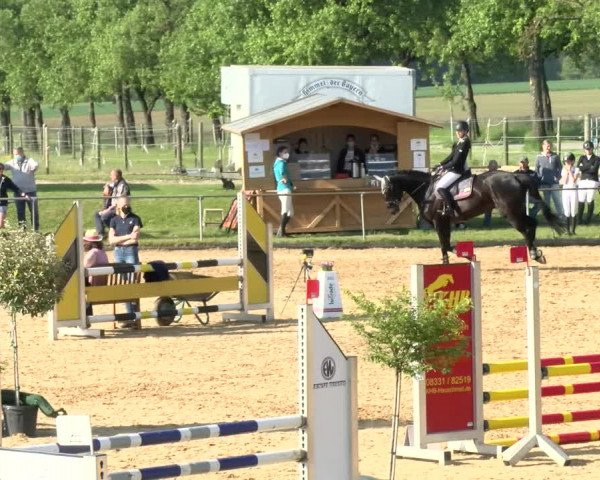 Reitturnier Zoltingen/Schw. 2021