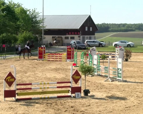 Reitturnier Zoltingen/Schw. 2021