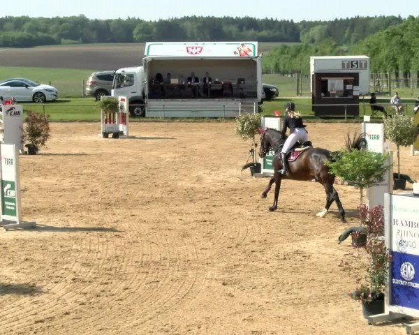 Reitturnier Zoltingen/Schw. 2021