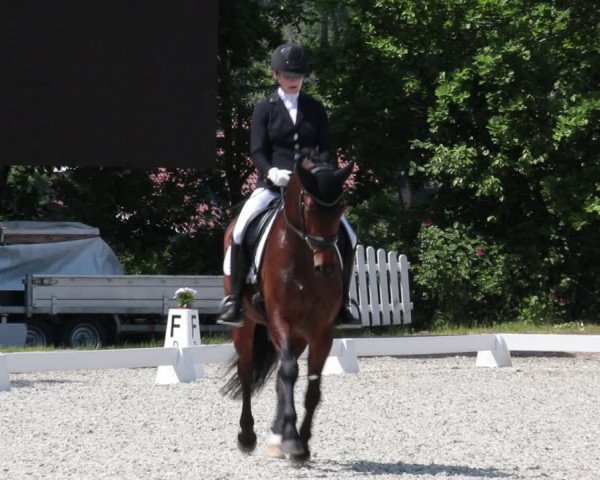 Reitturnier Elmlohe 2021
