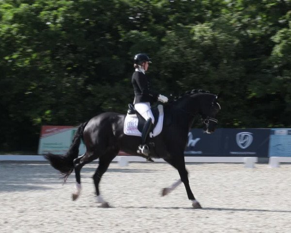 Reitturnier Elmlohe 2021