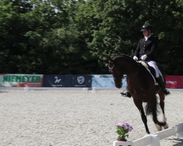 Reitturnier Elmlohe 2021