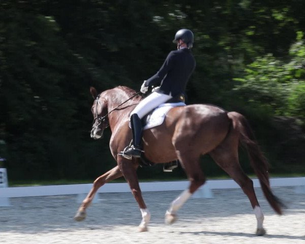 Reitturnier Elmlohe 2021