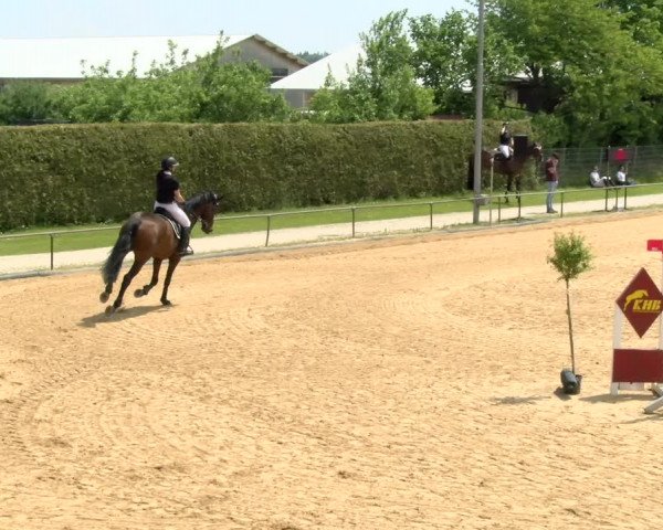 Reitturnier Zoltingen/Schw. 2021