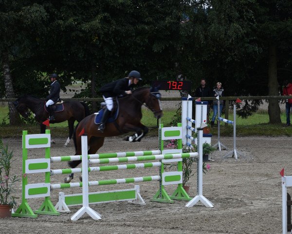 jumper Athena 168 (Bavarian, 2009, from Ferron)