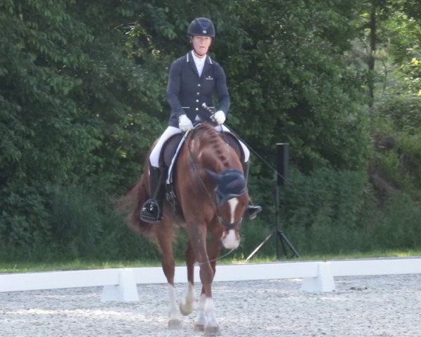 Reitturnier Elmlohe 2021