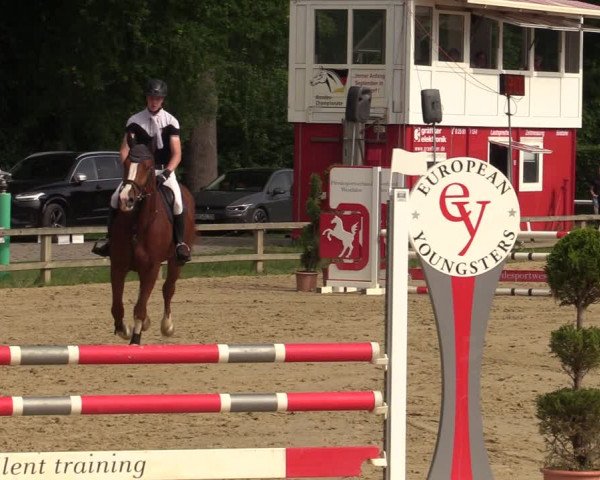 Reitturnier Münster-Handorf 2021