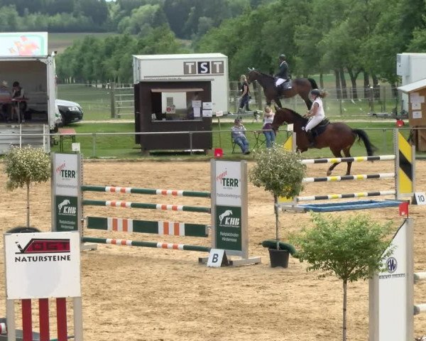Reitturnier Zoltingen/Schw. 2021