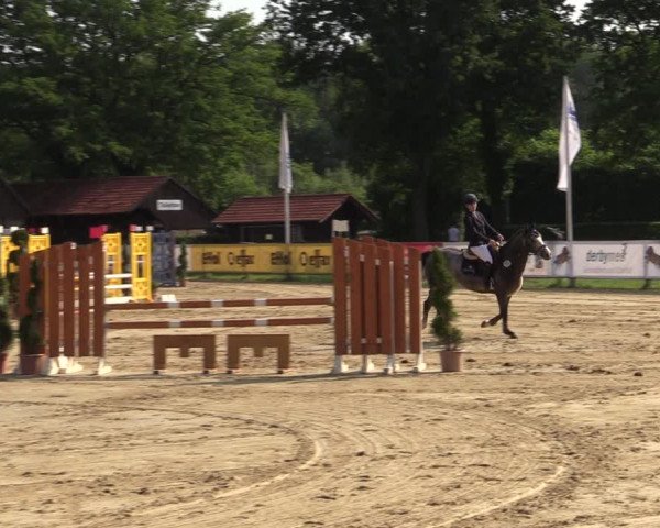 Reitturnier Münster-Handorf 2021