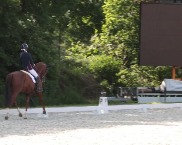 Reitturnier Elmlohe 2021