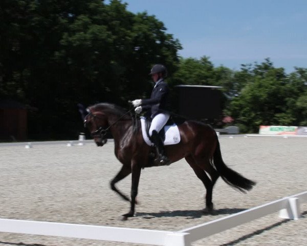 Reitturnier Elmlohe 2021