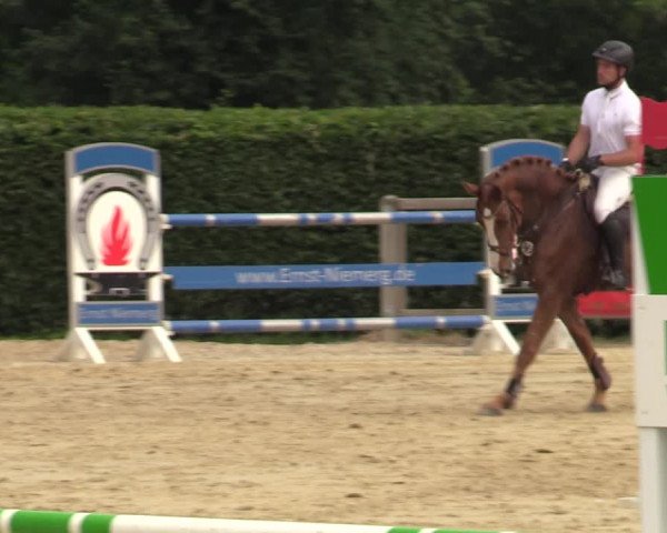 Reitturnier Münster-Handorf 2021