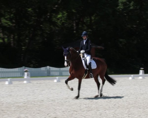 Reitturnier Elmlohe 2021