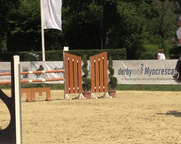 Reitturnier Münster-Handorf 2021