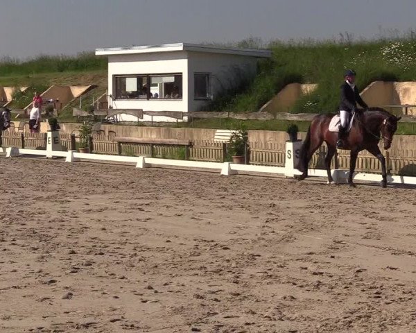 Reitturnier Schülp / Rendsburg 2021