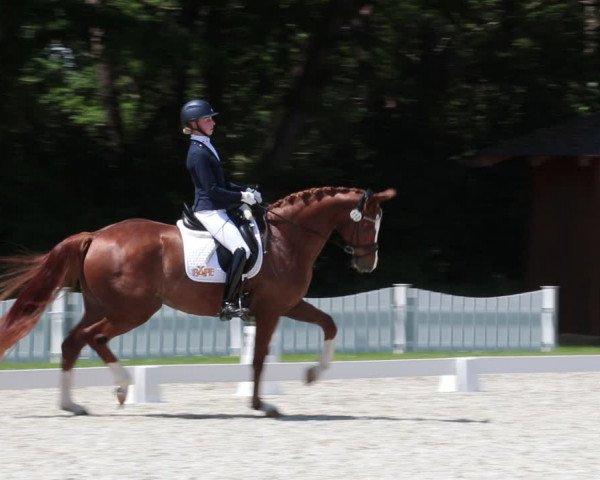 Reitturnier Elmlohe 2021