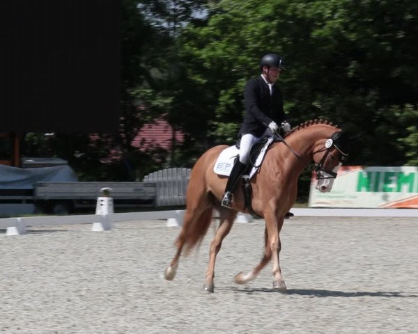 Reitturnier Elmlohe 2021