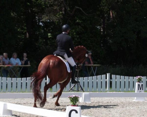 Reitturnier Elmlohe 2021