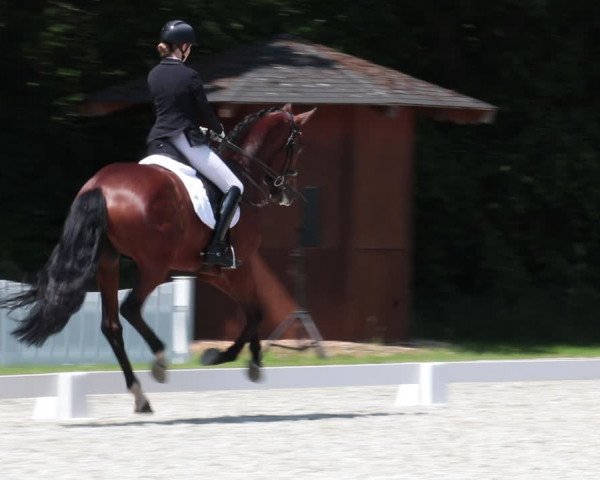 Reitturnier Elmlohe 2021