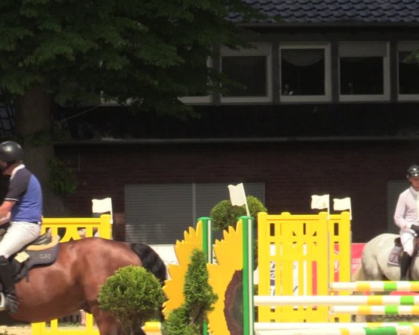 Reitturnier Münster-Handorf 2021