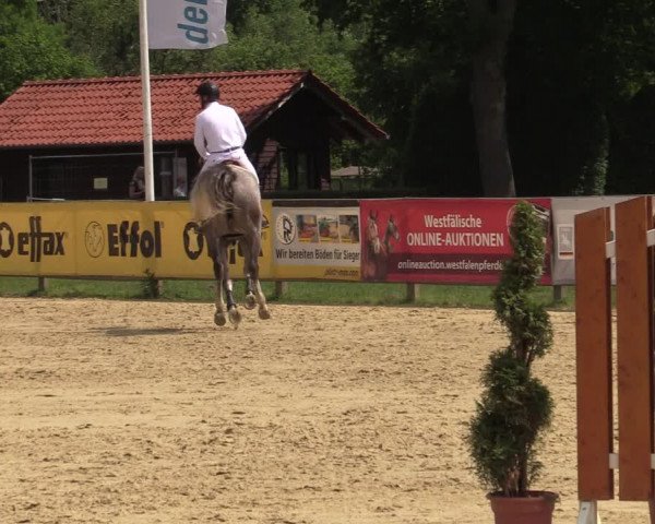 Reitturnier Münster-Handorf 2021