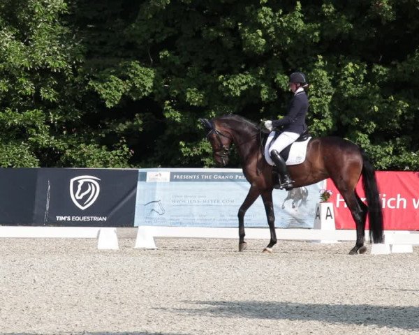 Reitturnier Elmlohe 2021
