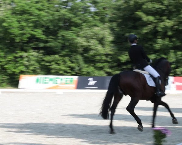 Reitturnier Elmlohe 2021