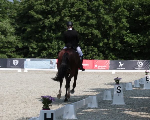 Reitturnier Elmlohe 2021