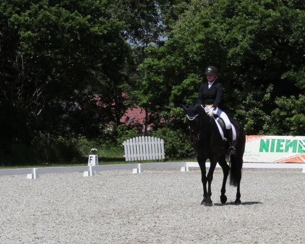 Reitturnier Elmlohe 2021