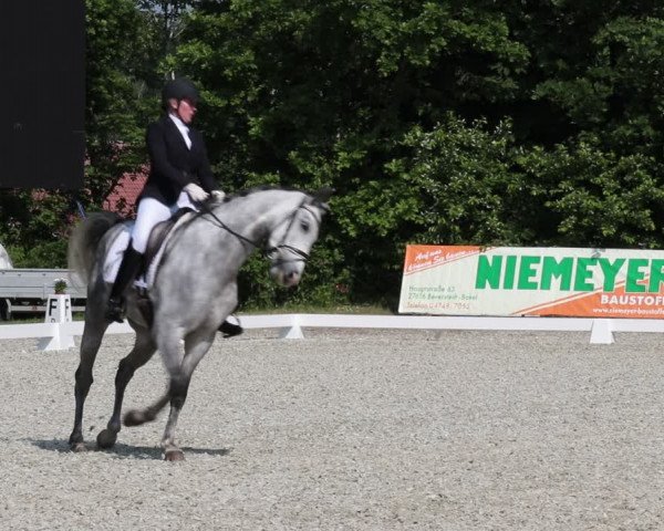 Reitturnier Elmlohe 2021