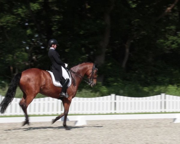 Reitturnier Elmlohe 2021