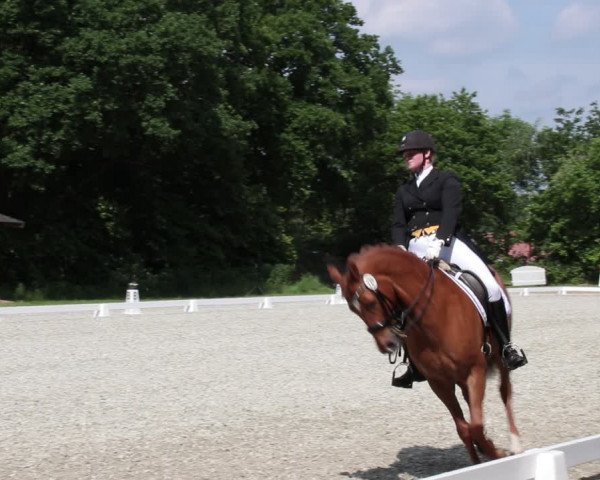 Reitturnier Elmlohe 2021