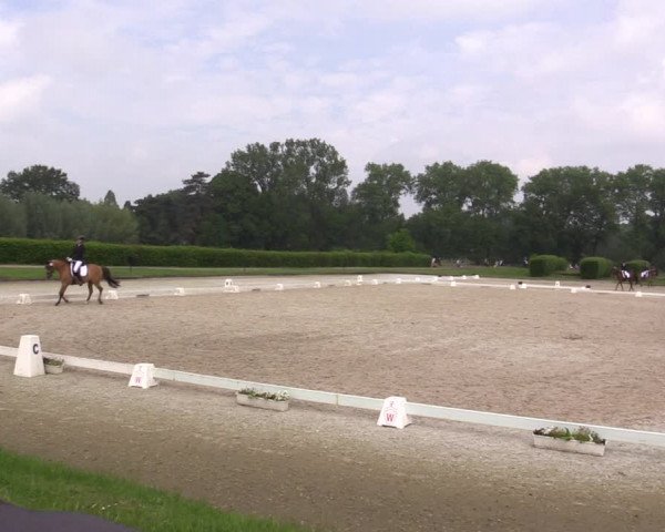 Reitturnier Münster-Handorf 2021