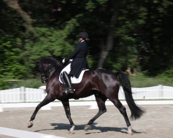 Reitturnier Elmlohe 2021