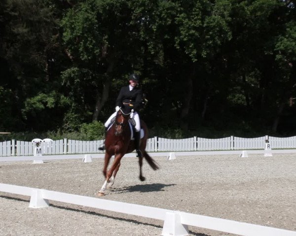 Reitturnier Elmlohe 2021