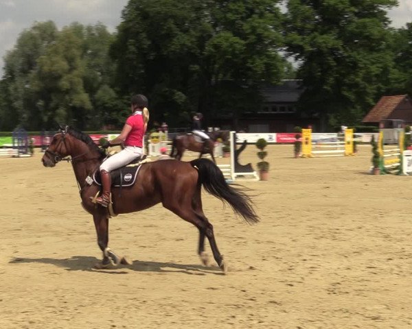 Reitturnier Münster-Handorf 2021