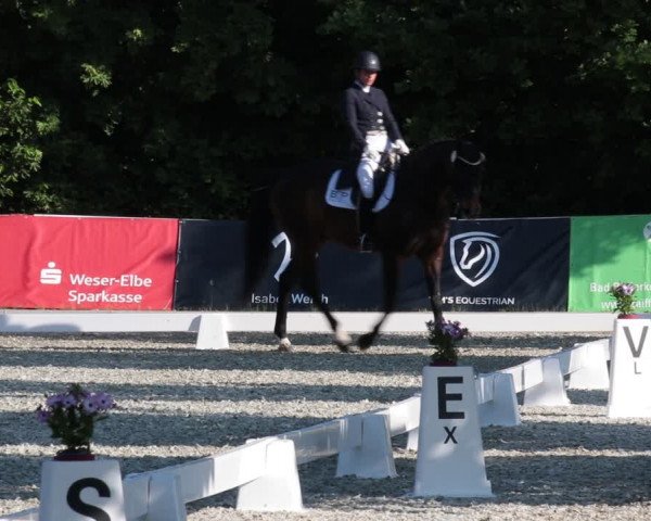 Reitturnier Elmlohe 2021