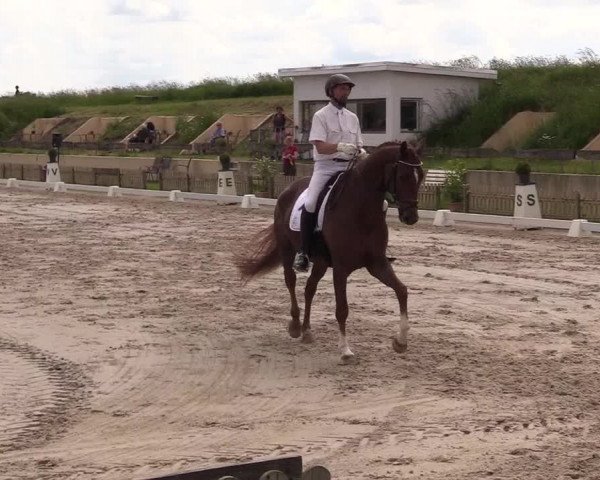 Reitturnier Schülp / Rendsburg 2021
