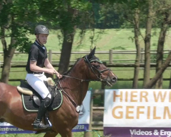 Reitturnier Lahr-Langenwinkel 2021
