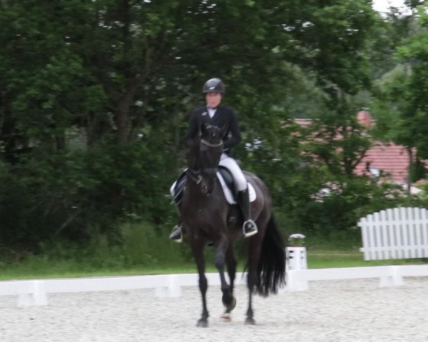 Reitturnier Elmlohe 2021