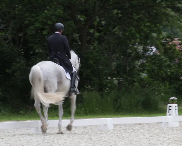 Reitturnier Elmlohe 2021