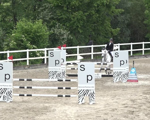 Reitturnier Aesch bei Neftenbach 2021