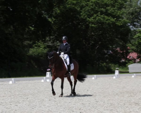 Reitturnier Elmlohe 2021