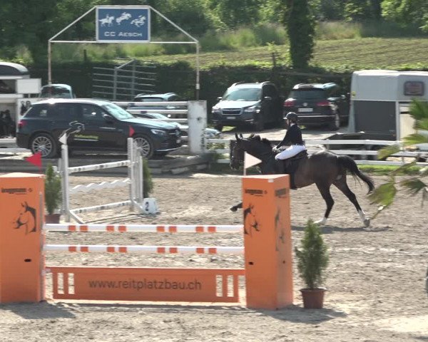 Reitturnier Aesch bei Neftenbach 2021
