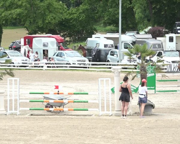 Reitturnier Aesch bei Neftenbach 2021