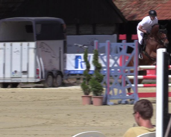 Reitturnier Münster-Handorf 2021