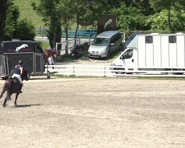 Reitturnier Aesch bei Neftenbach 2021
